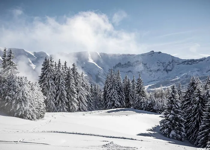 Appartement Confortable Avec 2 Chambres, Terrasse Et Parking à - Fr-1-569-123